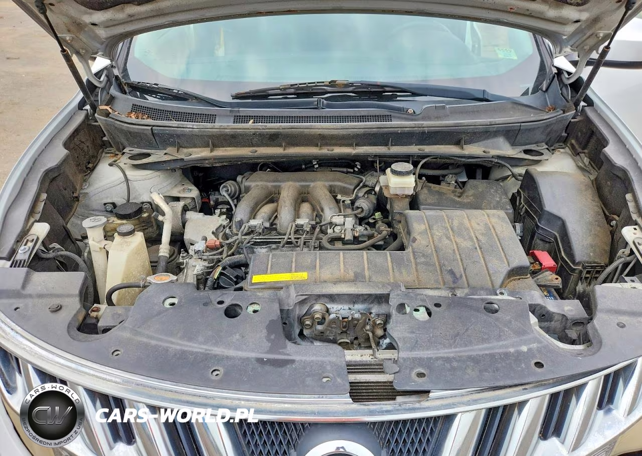2010 Nissan Murano S VIN:JN8AZ1MW5AW123780 - 12