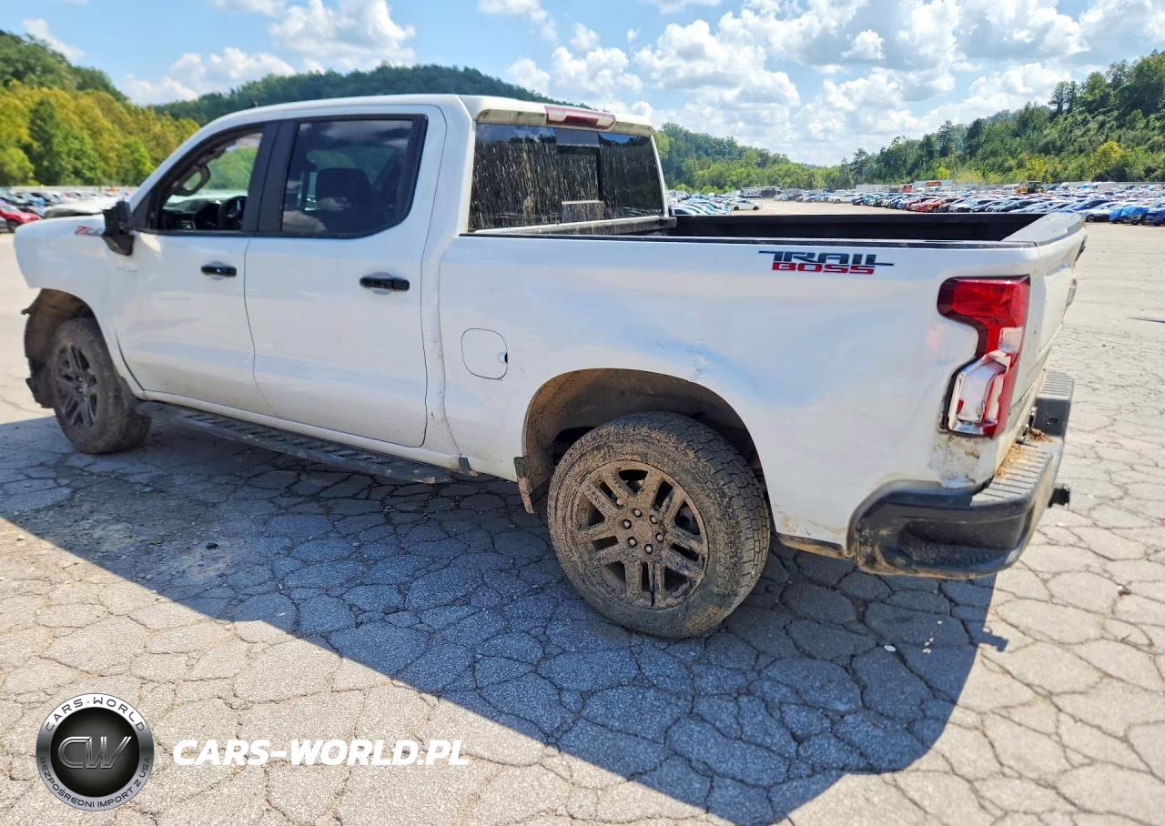 2024 Chevrolet Silverado K1500 Lt Trail Boss VIN:3GCUDFE83RG169994 - 2