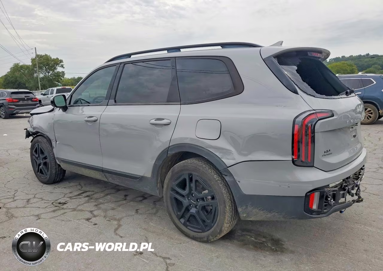 2024 Kia Telluride Sx-Prestige X-Line VIN:5XYP5DGC8RG417719 - 2