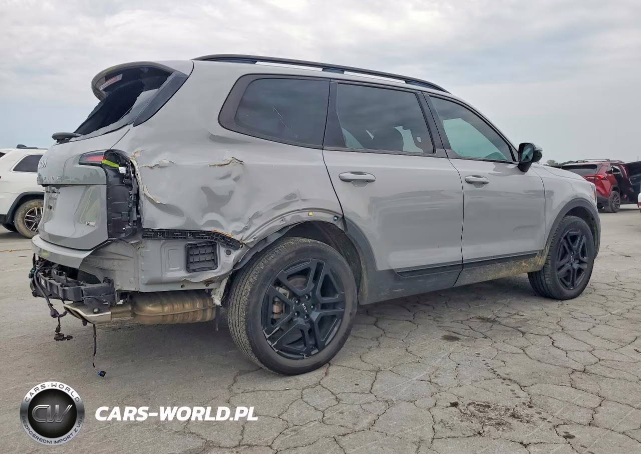 2024 Kia Telluride Sx-Prestige X-Line VIN:5XYP5DGC8RG417719 - 3