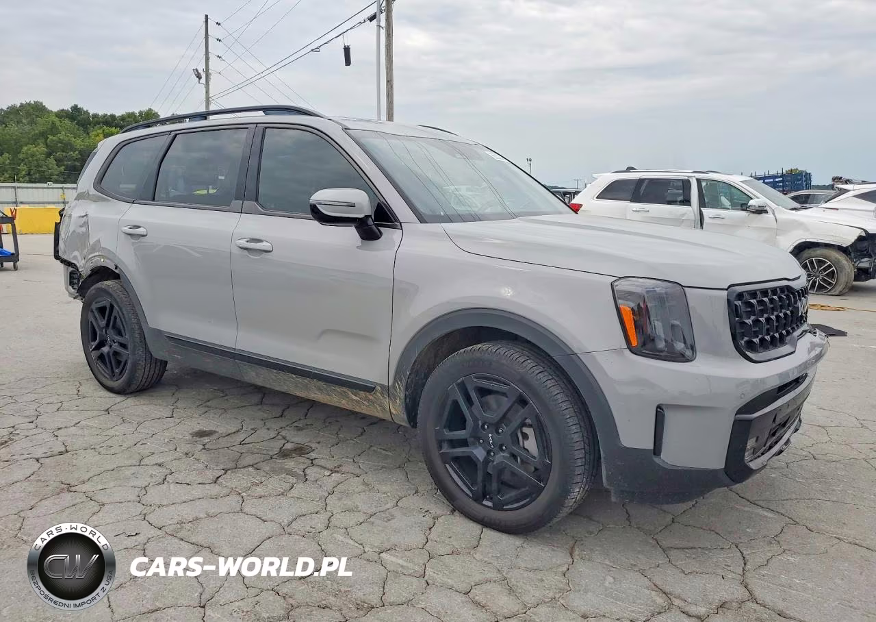 2024 Kia Telluride Sx-Prestige X-Line VIN:5XYP5DGC8RG417719 - 4