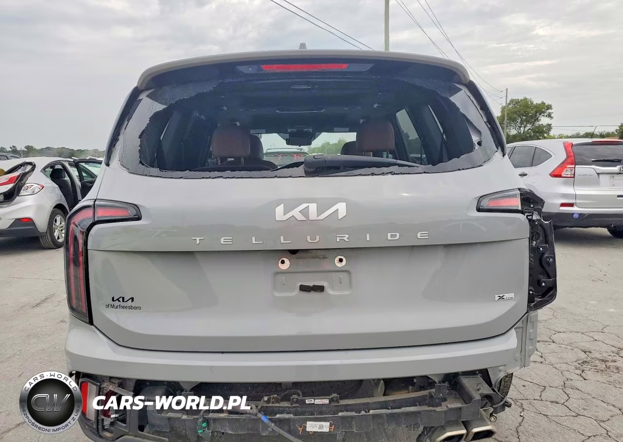 2024 Kia Telluride Sx-Prestige X-Line VIN:5XYP5DGC8RG417719 - 6