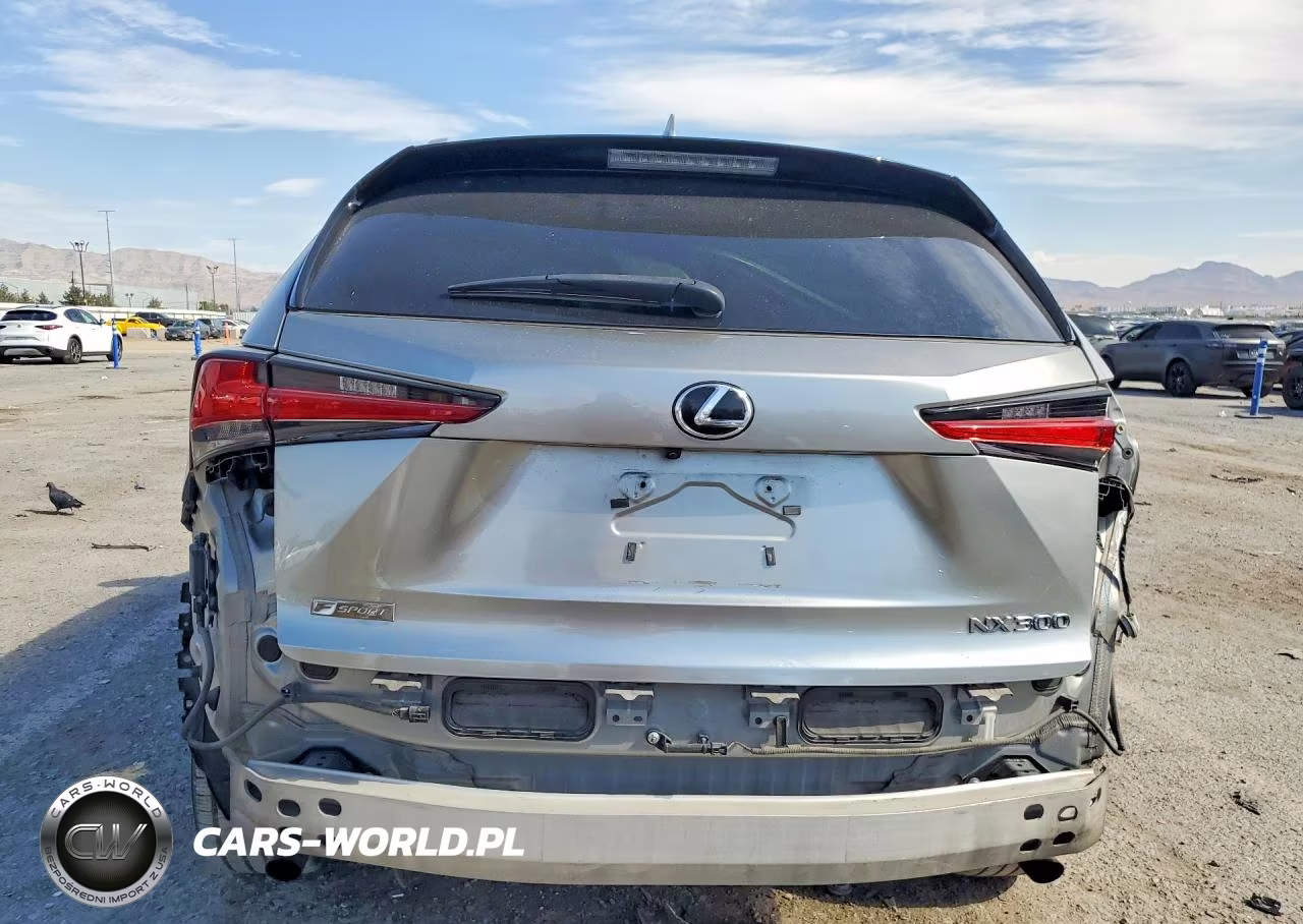 2018 Lexus Nx 300 F Sport VIN:JTJYARBZ2J2094319 - 6