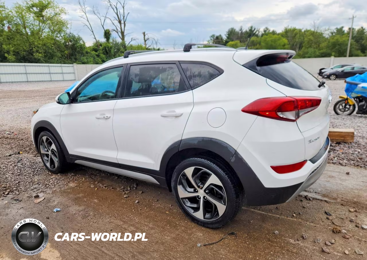 2017 Hyundai Tucson Sport VIN:KM8J3CA20HU311036 - 2