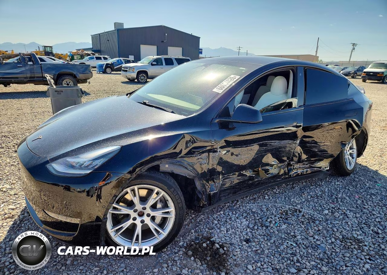 2020 Tesla Model Y