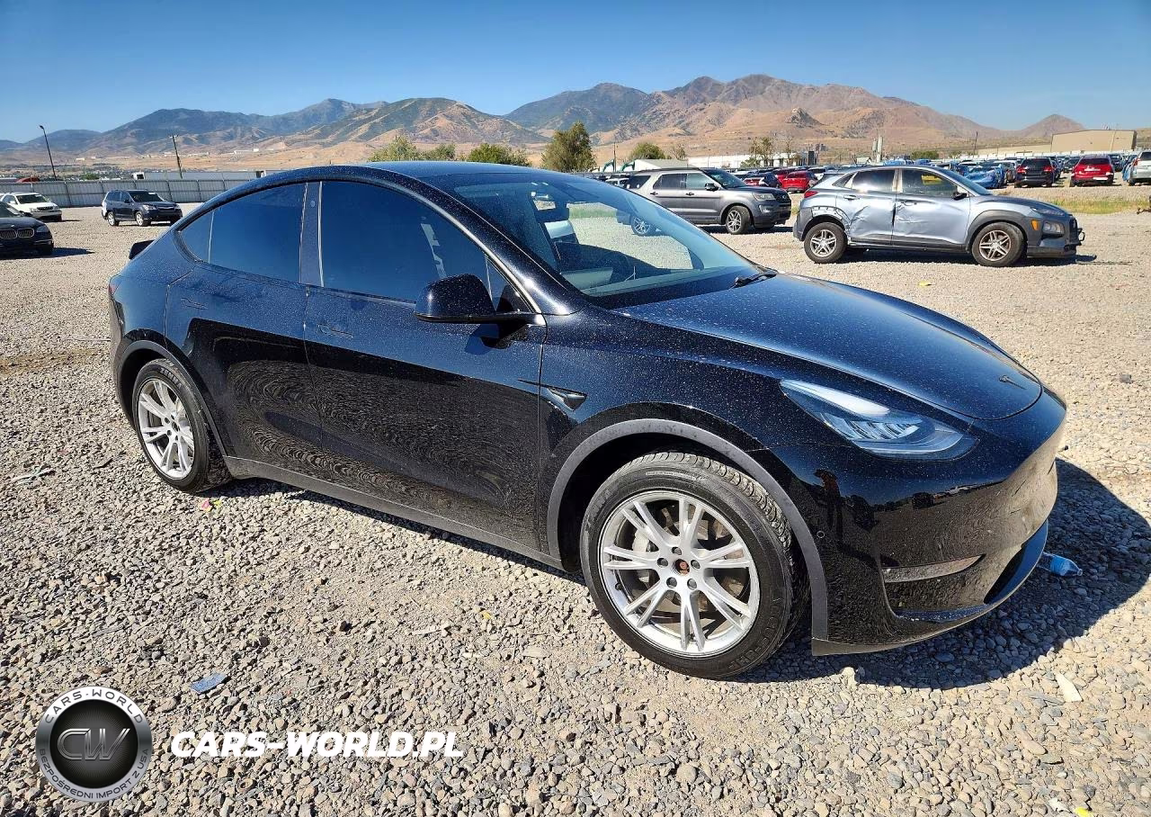 2020 Tesla Model Y VIN:5YJYGDEE5LF049937 - 4