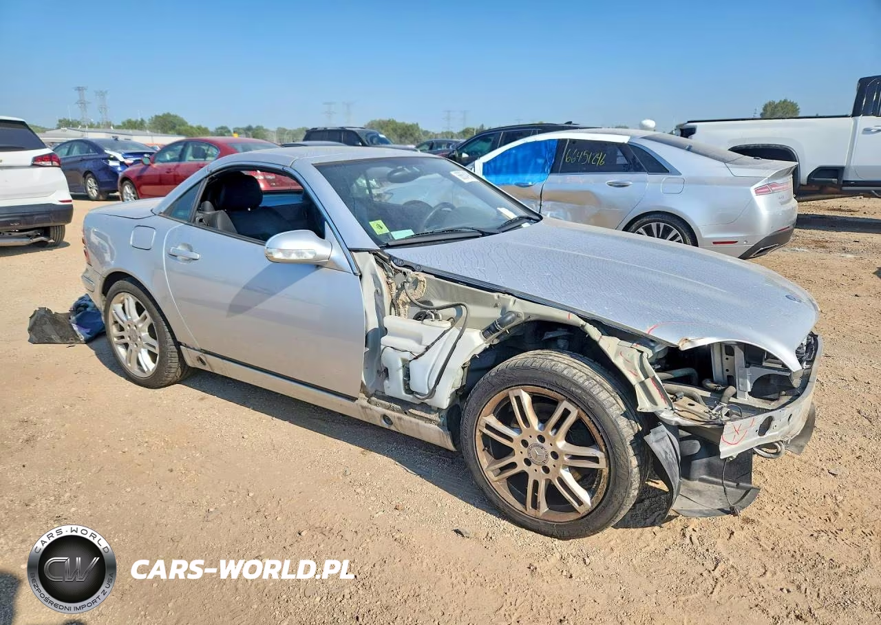 2004 Mercedes-Benz Slk 320 VIN:WDBKK65F74F304737 - 4