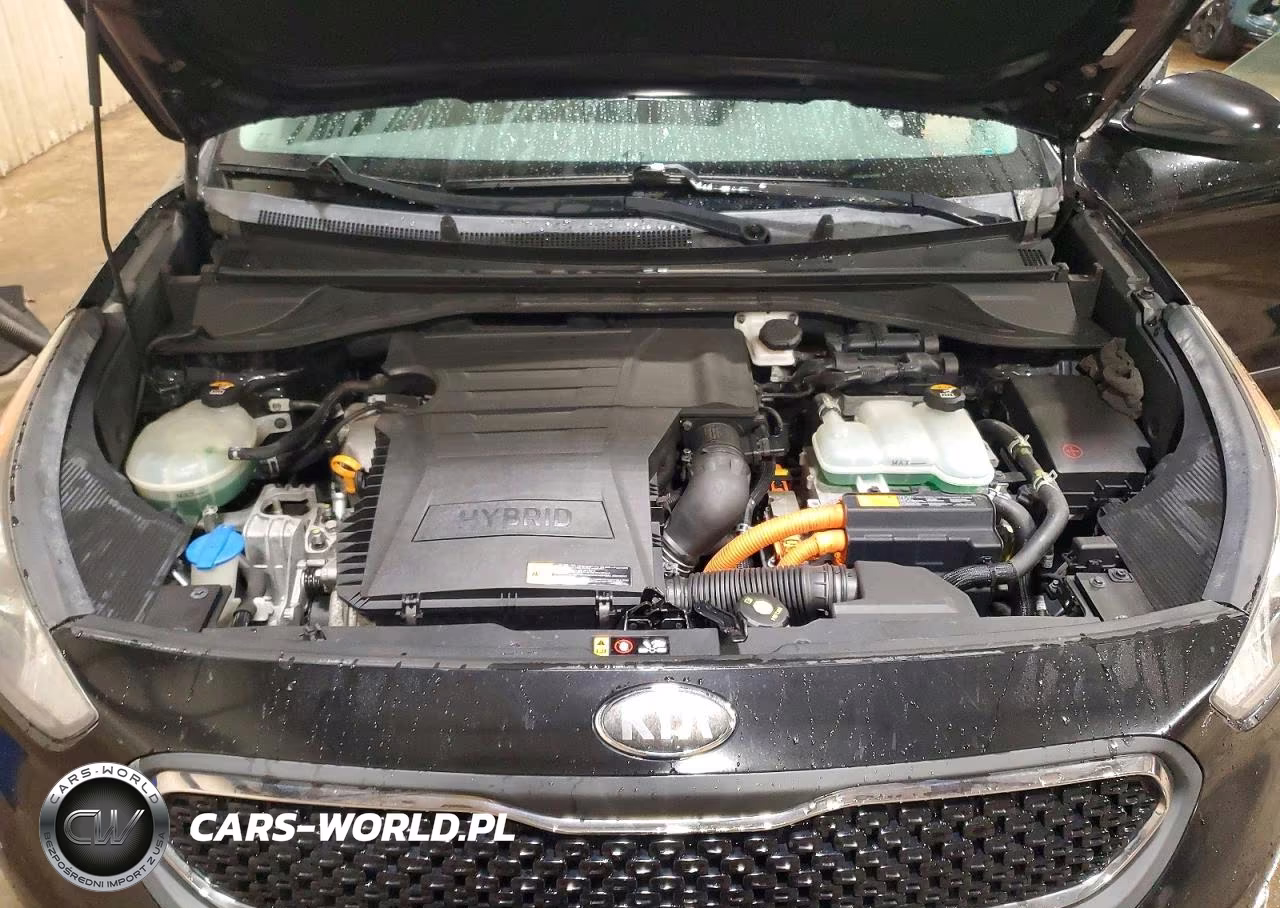 2017 Kia Niro Lx VIN:KNDCB3LC9H5069783 - 12