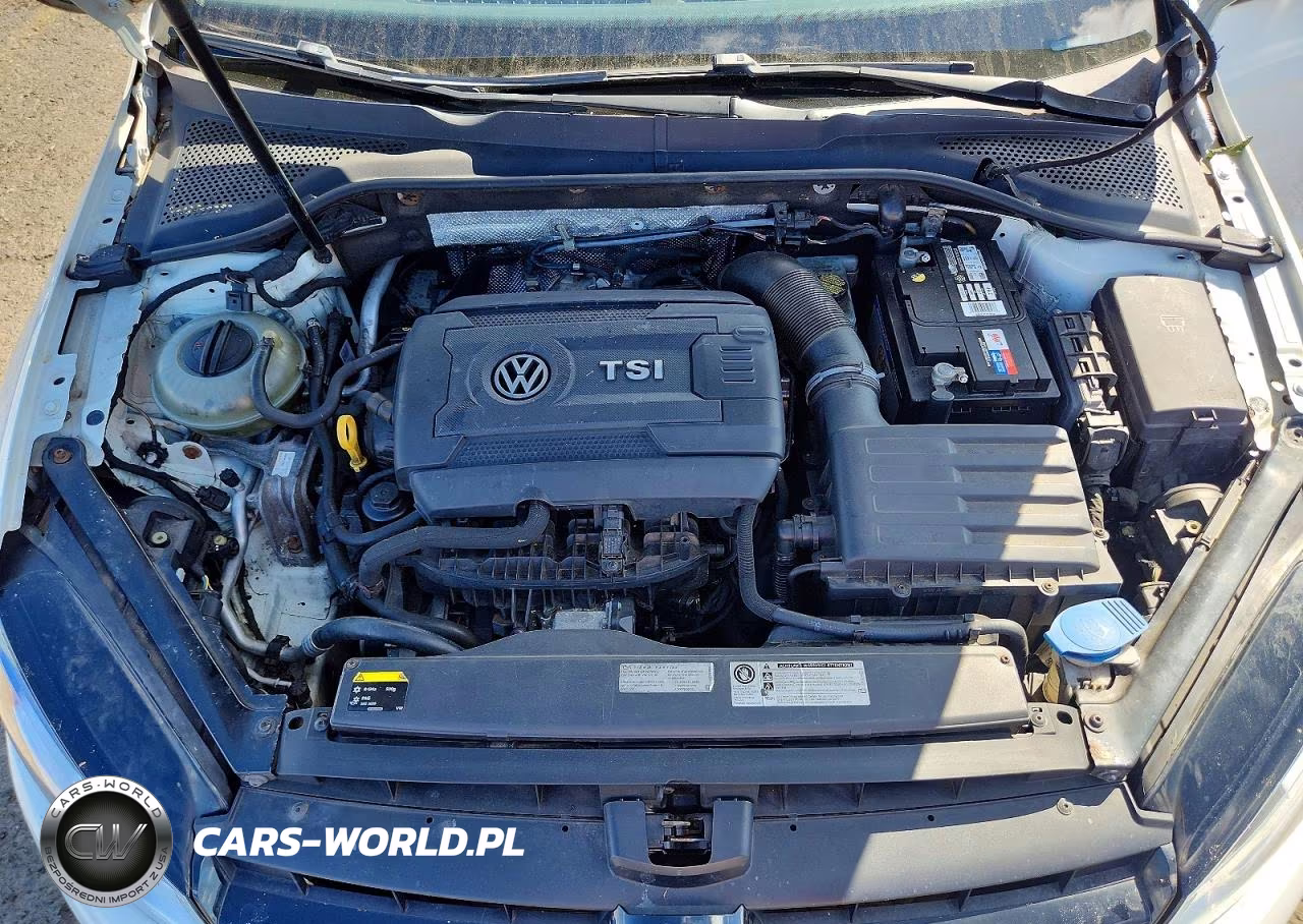 2015 Volkswagen Golf VIN:3VW817AU8FM020381 - 11