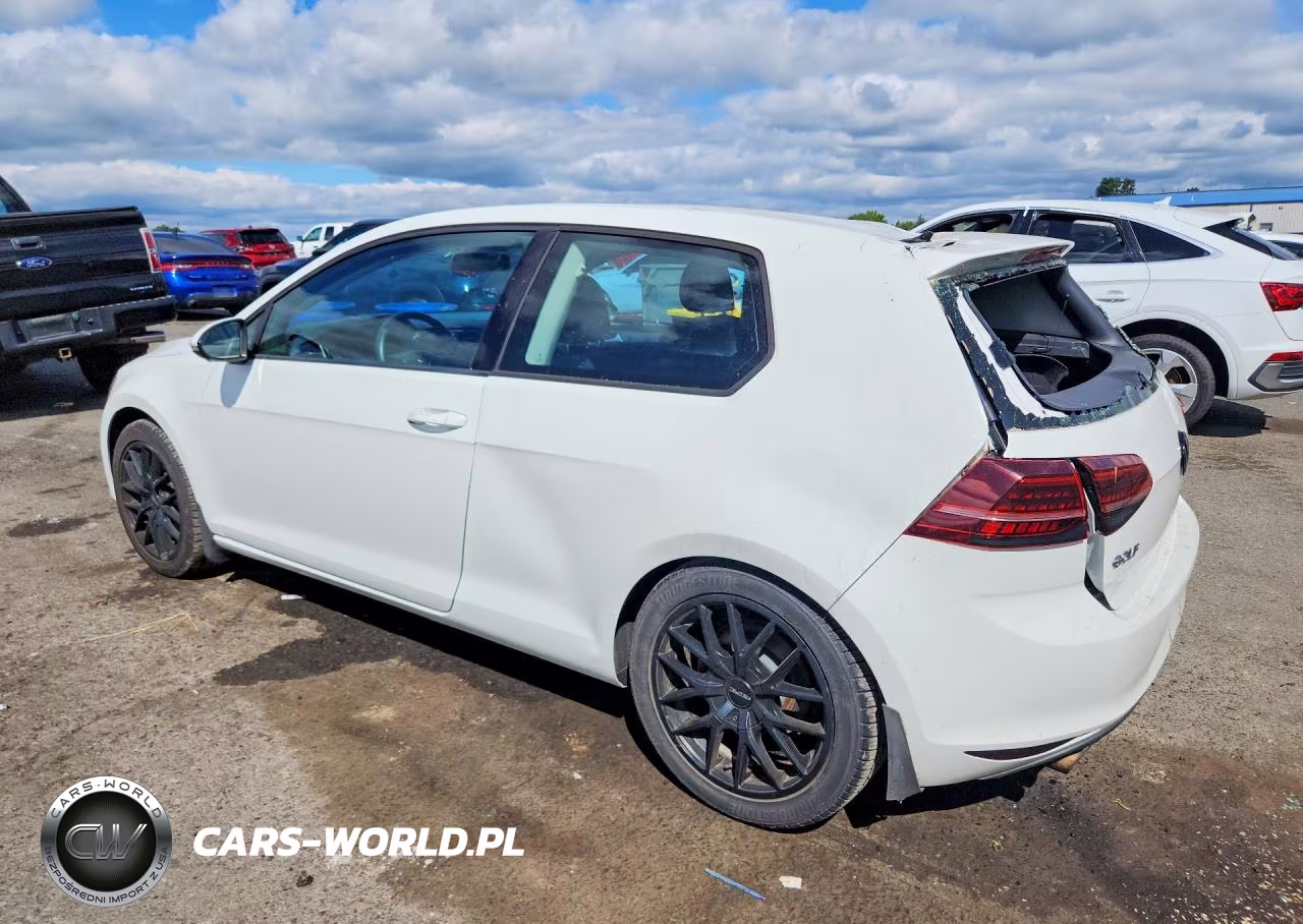 2015 Volkswagen Golf VIN:3VW817AU8FM020381 - 2