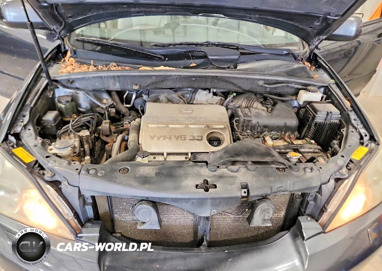 2005 Lexus Rx 330 VIN:2T2HA31U55C057368 - 12