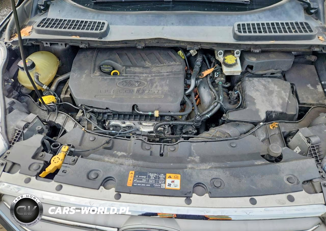 2018 Ford Escape Sel VIN:1FMCU9HD5JUB94852 - 12