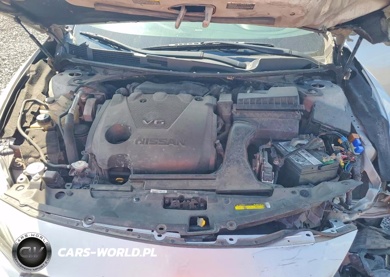 2018 Nissan Maxima Platinum VIN:1N4AA6AP7JC399382 - 11