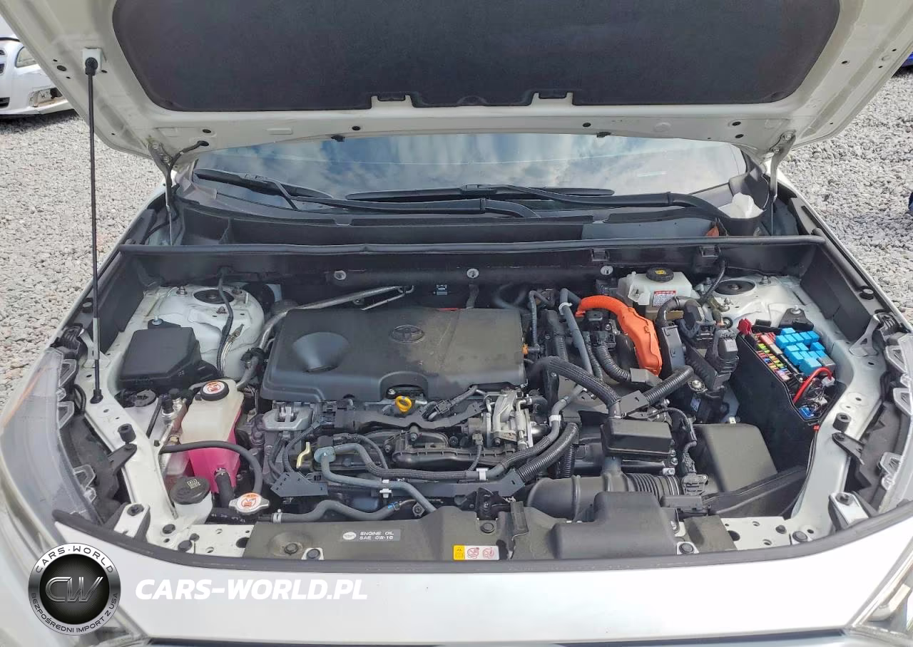 2019 Toyota Rav4 Limited VIN:JTMDWRFV5KD510721 - 12