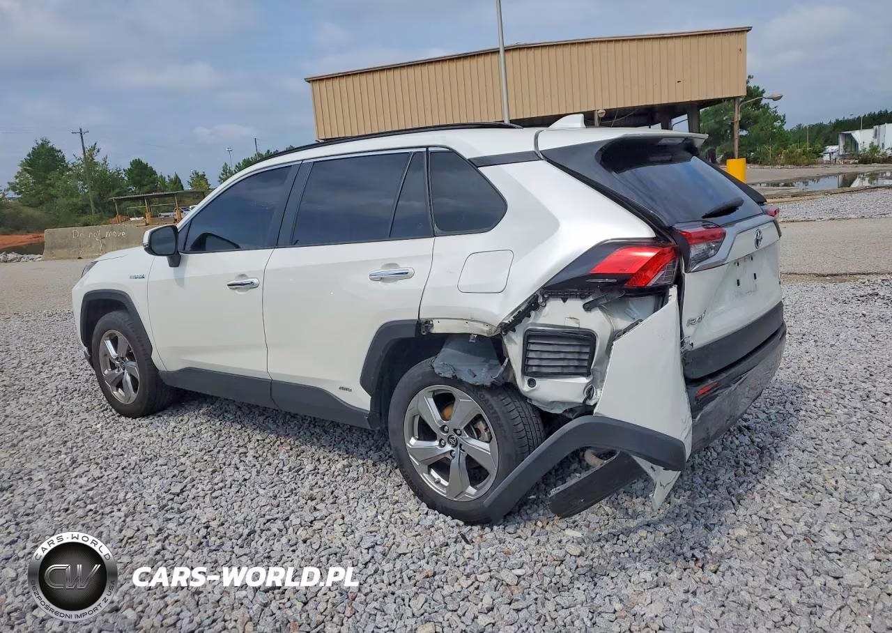 2019 Toyota Rav4 Limited VIN:JTMDWRFV5KD510721 - 2
