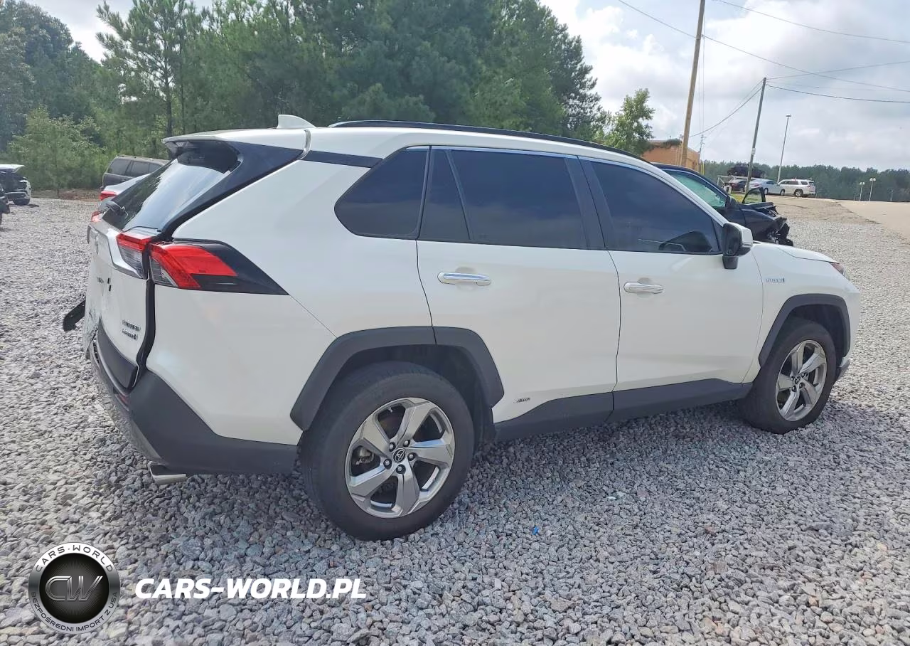 2019 Toyota Rav4 Limited VIN:JTMDWRFV5KD510721 - 3