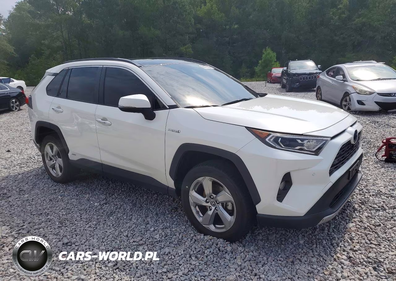 2019 Toyota Rav4 Limited VIN:JTMDWRFV5KD510721 - 4