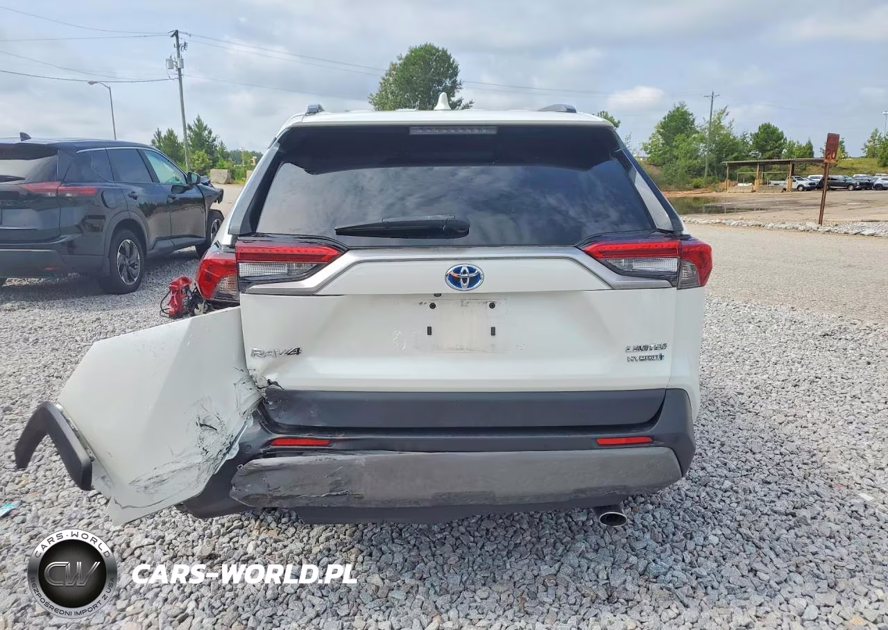 2019 Toyota Rav4 Limited VIN:JTMDWRFV5KD510721 - 6