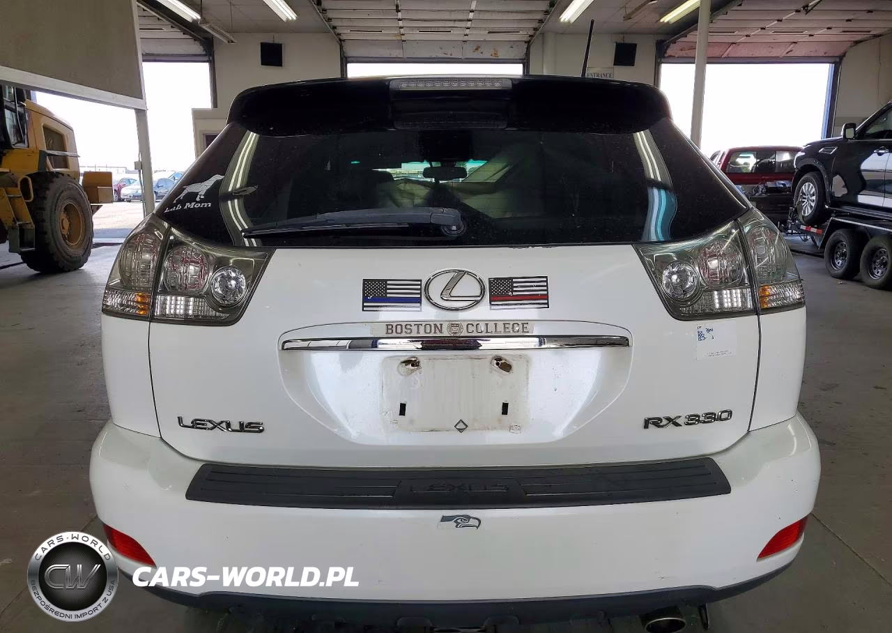 2004 Lexus Rx 330 VIN:2T2HA31U54C016365 - 6