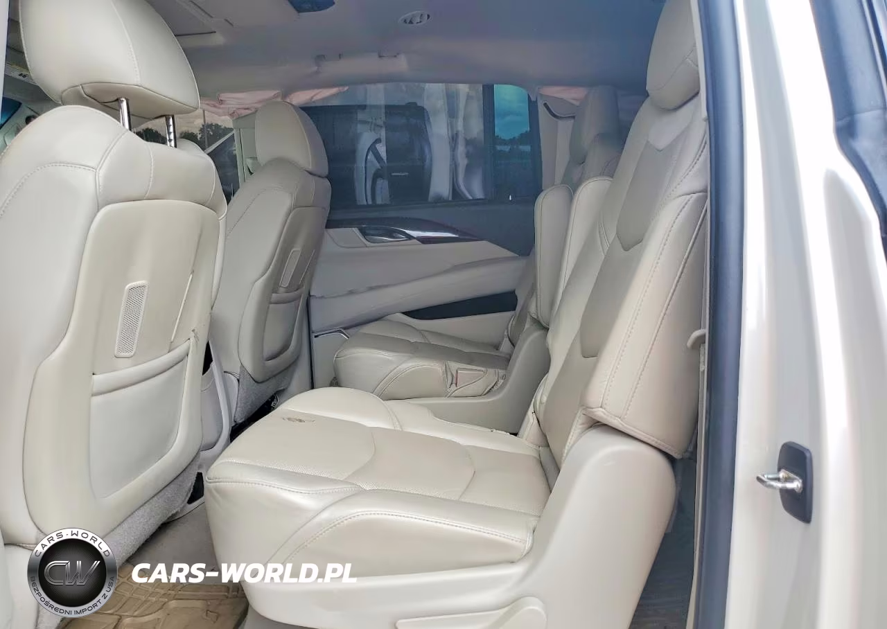 2015 Cadillac Escalade Esv Luxury VIN:1GYS3HKJ4FR194762 - 10