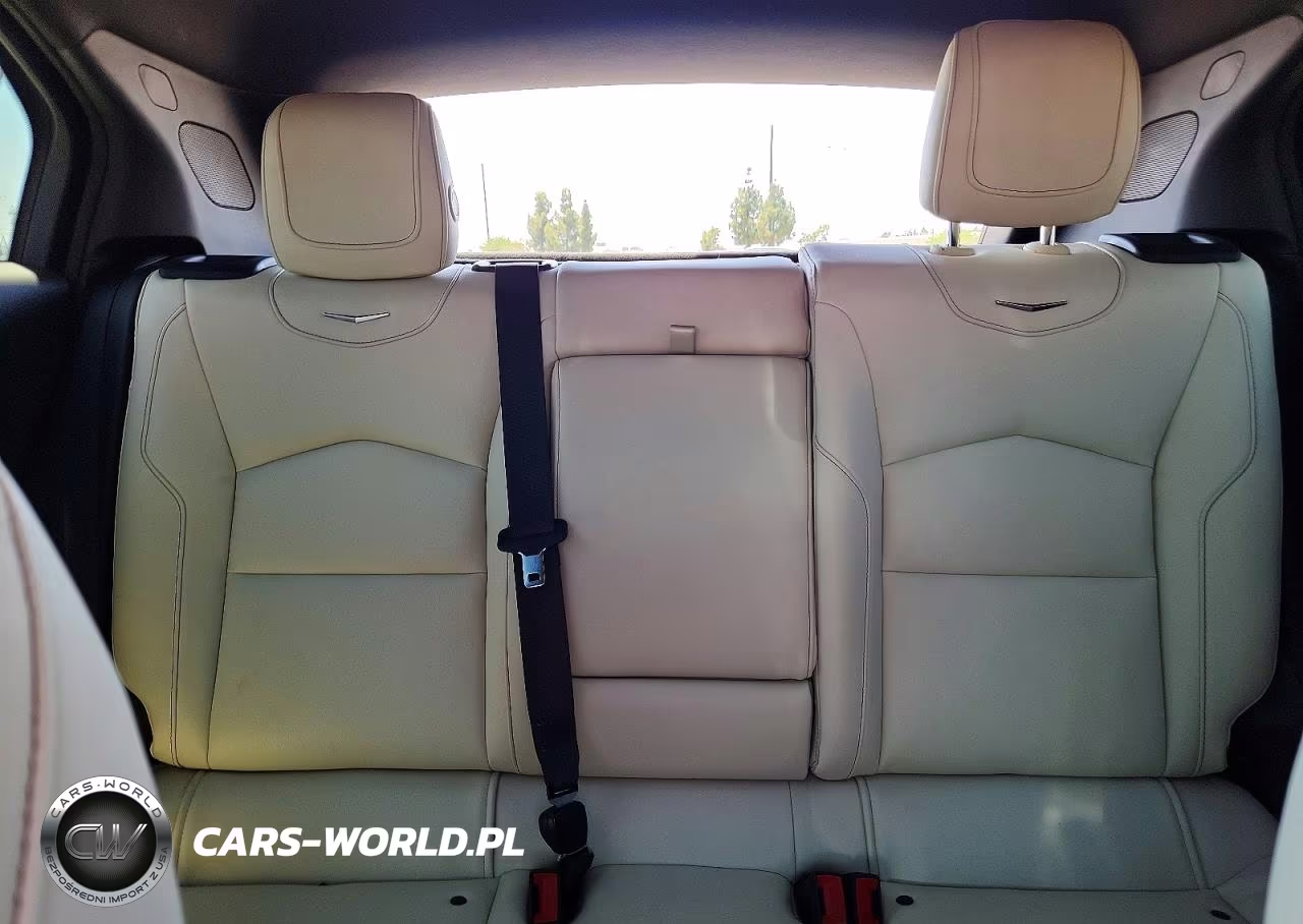 2020 Cadillac Xt4 Sport VIN:1GYFZFR48LF082354 - 10