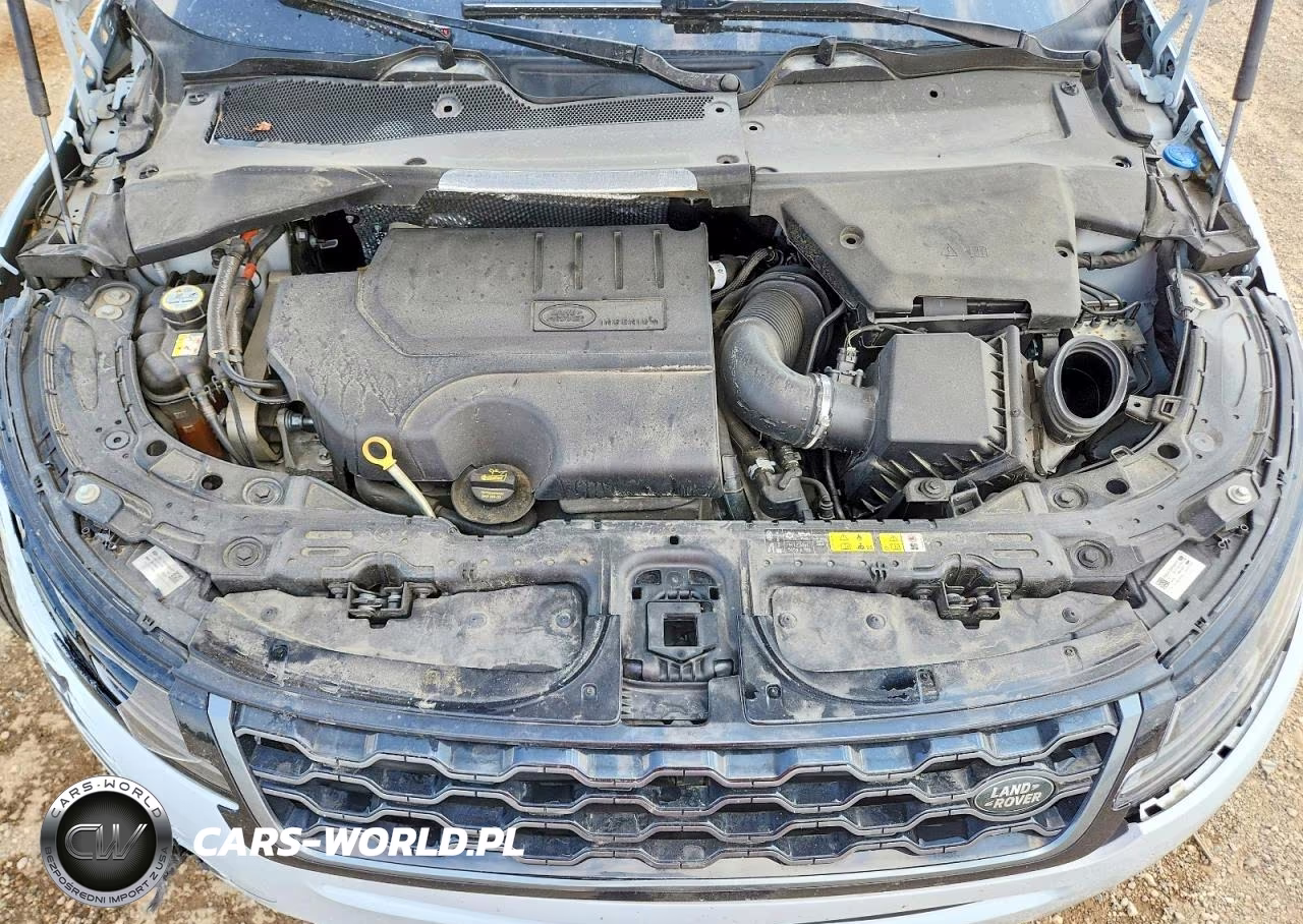 2020 Land Rover Range Rover Evoque First Edition VIN:SALZL2FX2LH120752 - 11