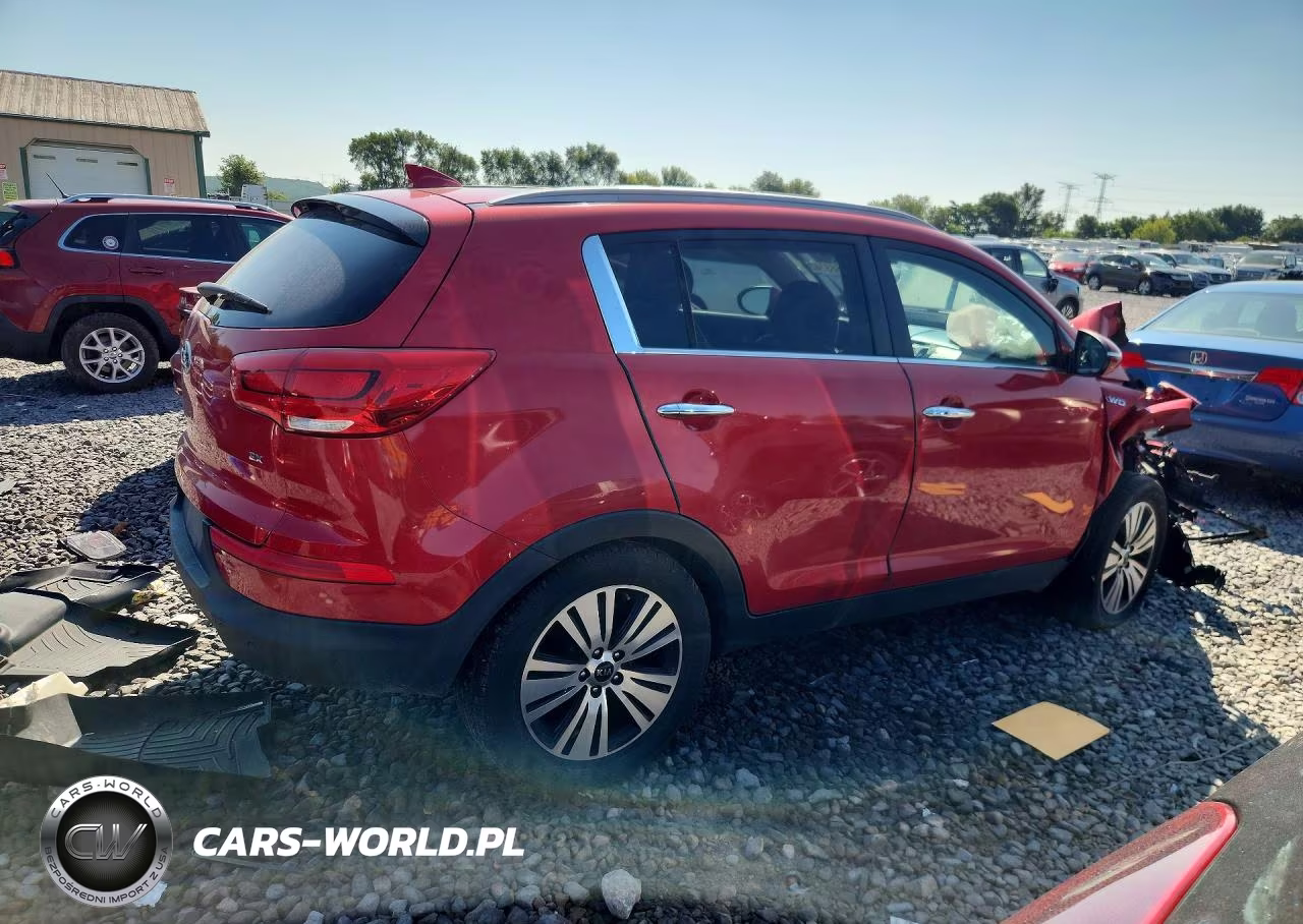 2014 Kia Sportage Ex VIN:KNDPCCAC5E7616212 - 3