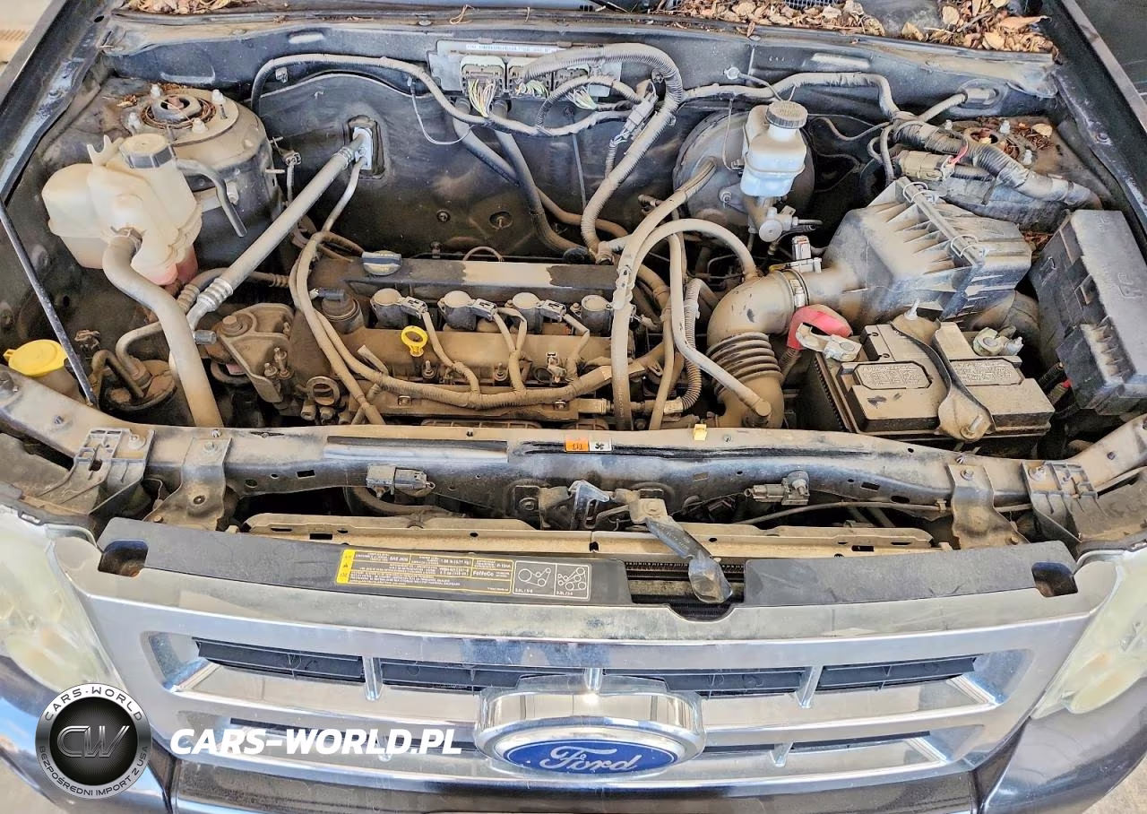 2012 Ford Escape Xlt VIN:1FMCU9D75CKA06846 - 11