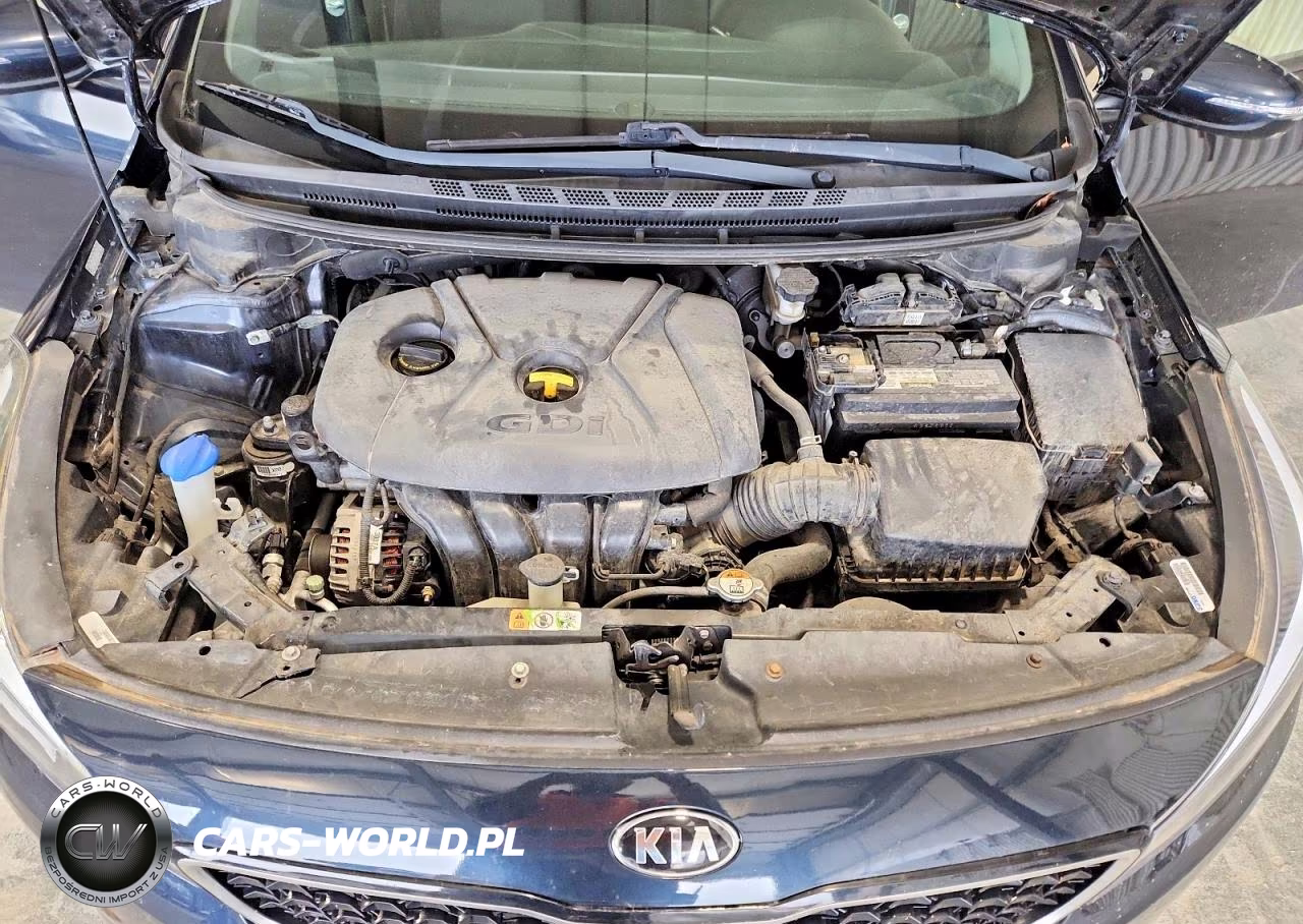 2018 Kia Forte5 Lx VIN:KNAFK5A80J5773915 - 11