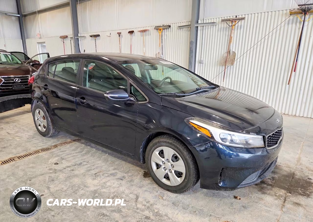2018 Kia Forte5 Lx VIN:KNAFK5A80J5773915 - 4