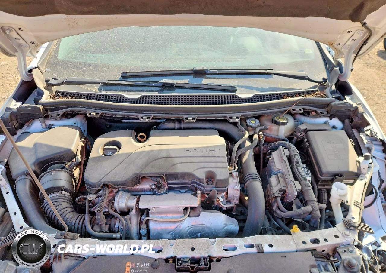 2019 Chevrolet Cruze VIN:1G1BE5SM6K7146171 - 11