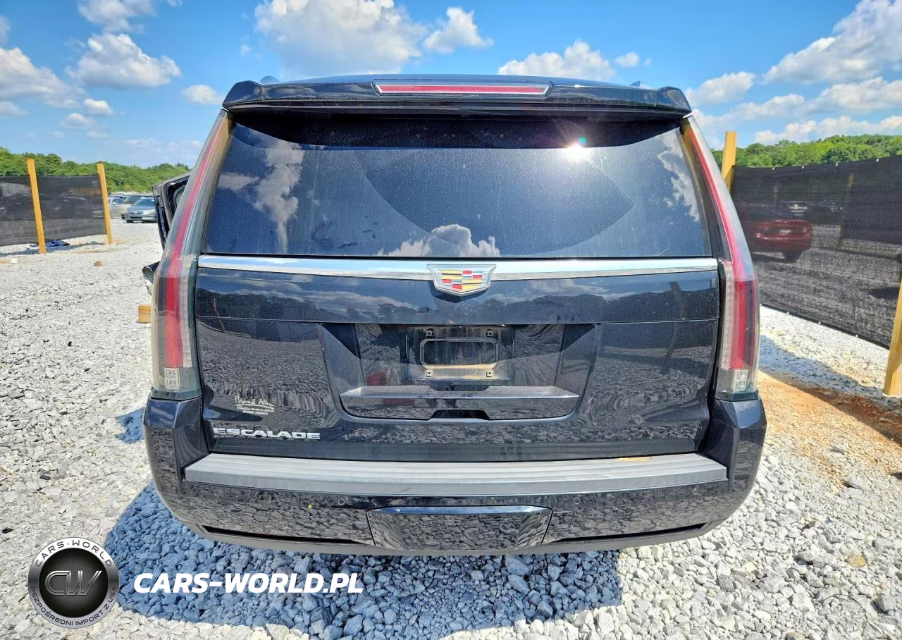 2016 Cadillac Escalade Premium VIN:1GYS3CKJ6GR420482 - 6