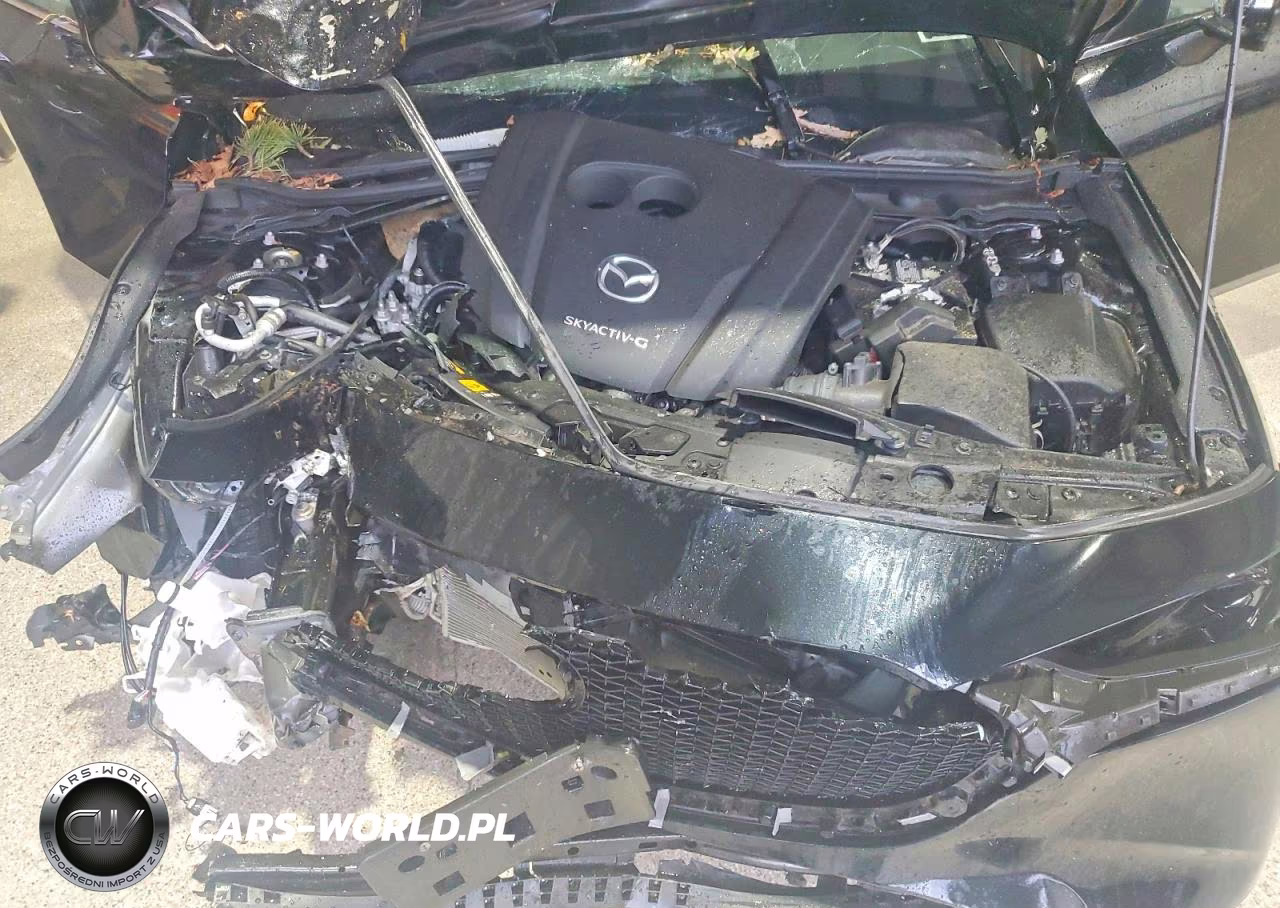 2019 Mazda 3 VIN:JM1BPAJM4K1142926 - 11