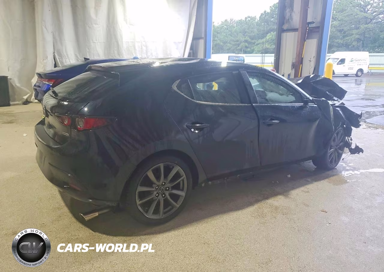 2019 Mazda 3 VIN:JM1BPAJM4K1142926 - 3