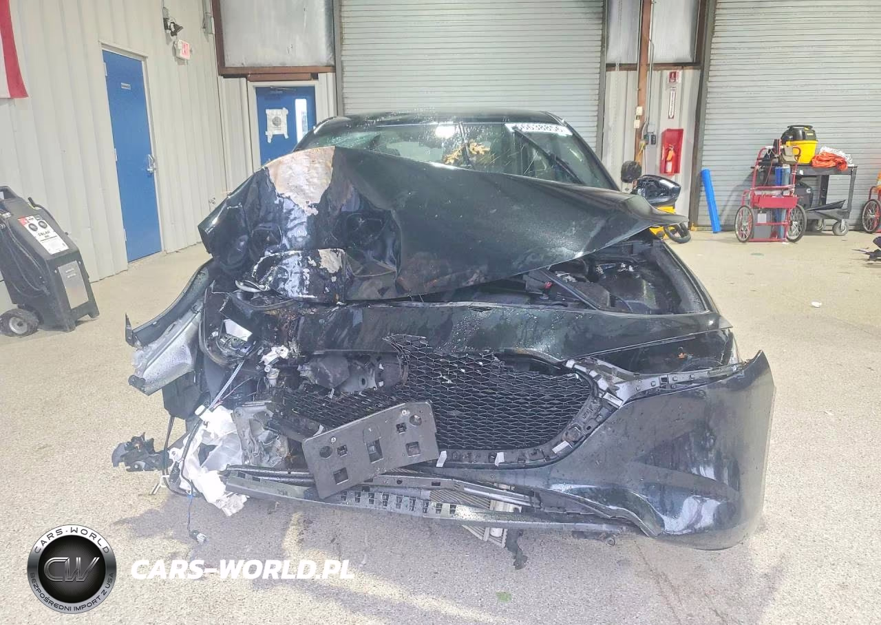 2019 Mazda 3 VIN:JM1BPAJM4K1142926 - 5