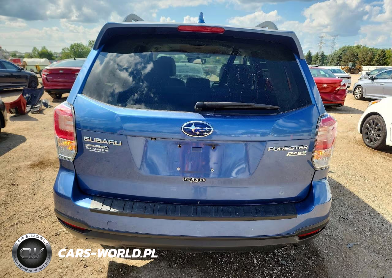 2017 Subaru Forester 2.5I Premium VIN:JF2SJAEC4HH551481 - 6