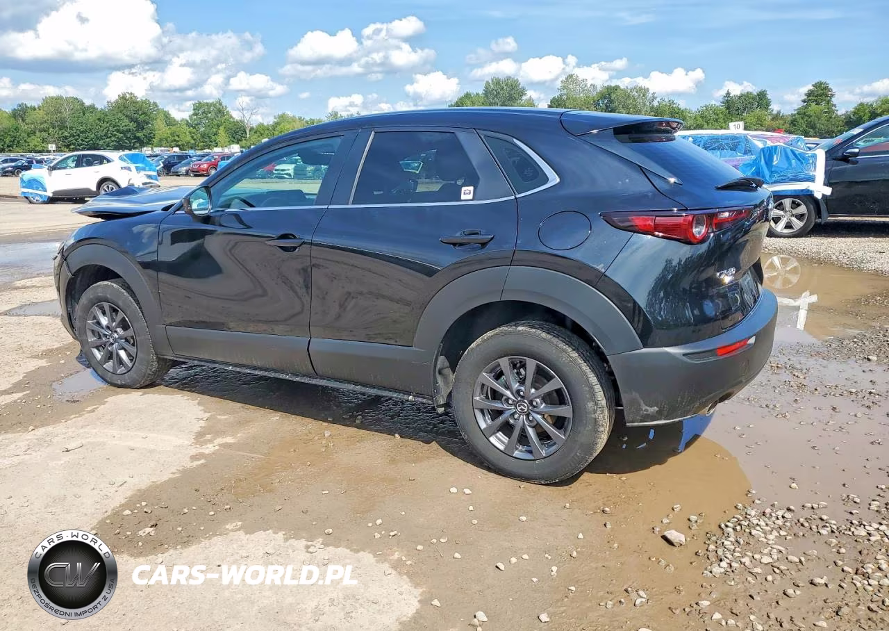 2025 Mazda Cx-30 Cx-30 VIN:3MVDMBAM2SM790970 - 2
