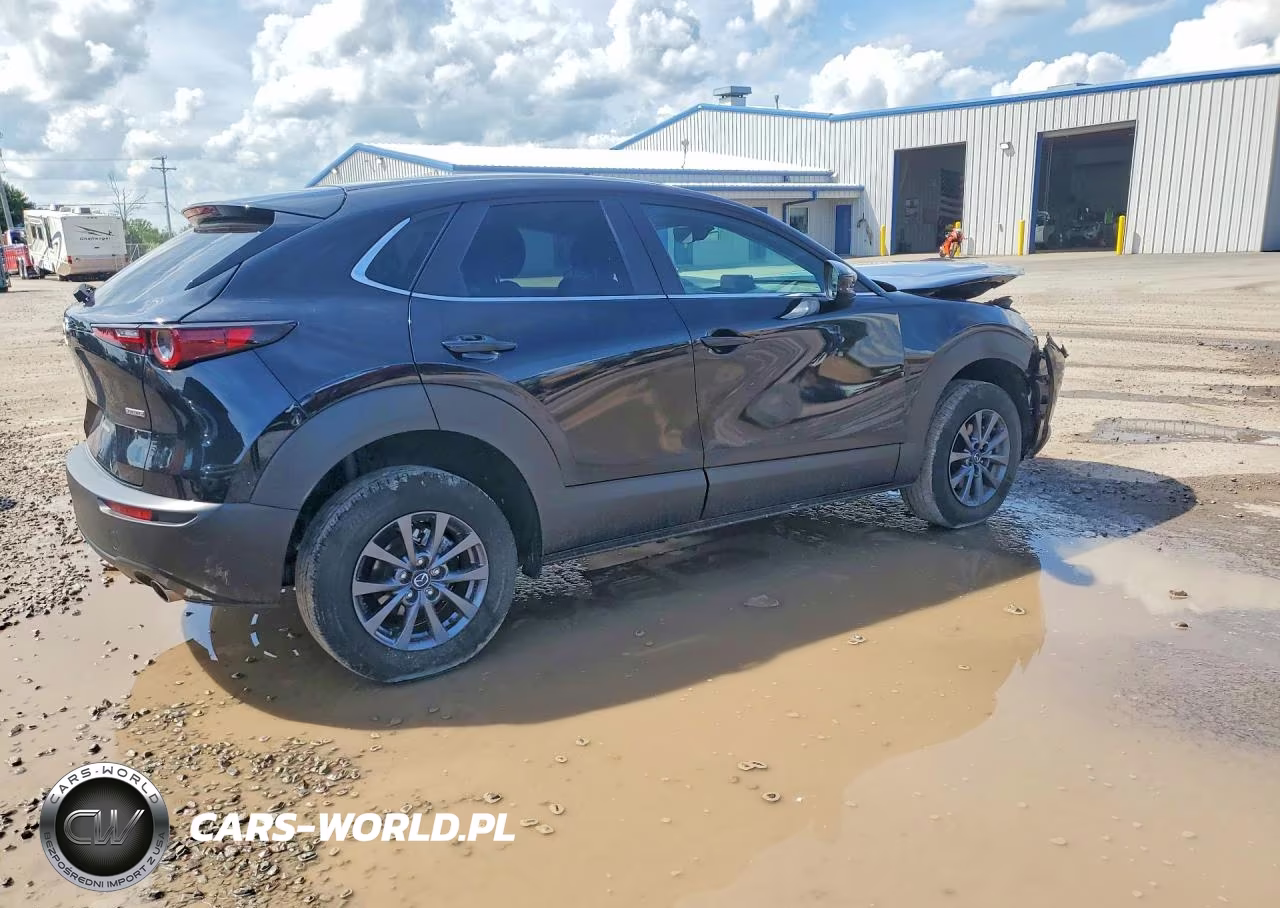 2025 Mazda Cx-30 Cx-30 VIN:3MVDMBAM2SM790970 - 3