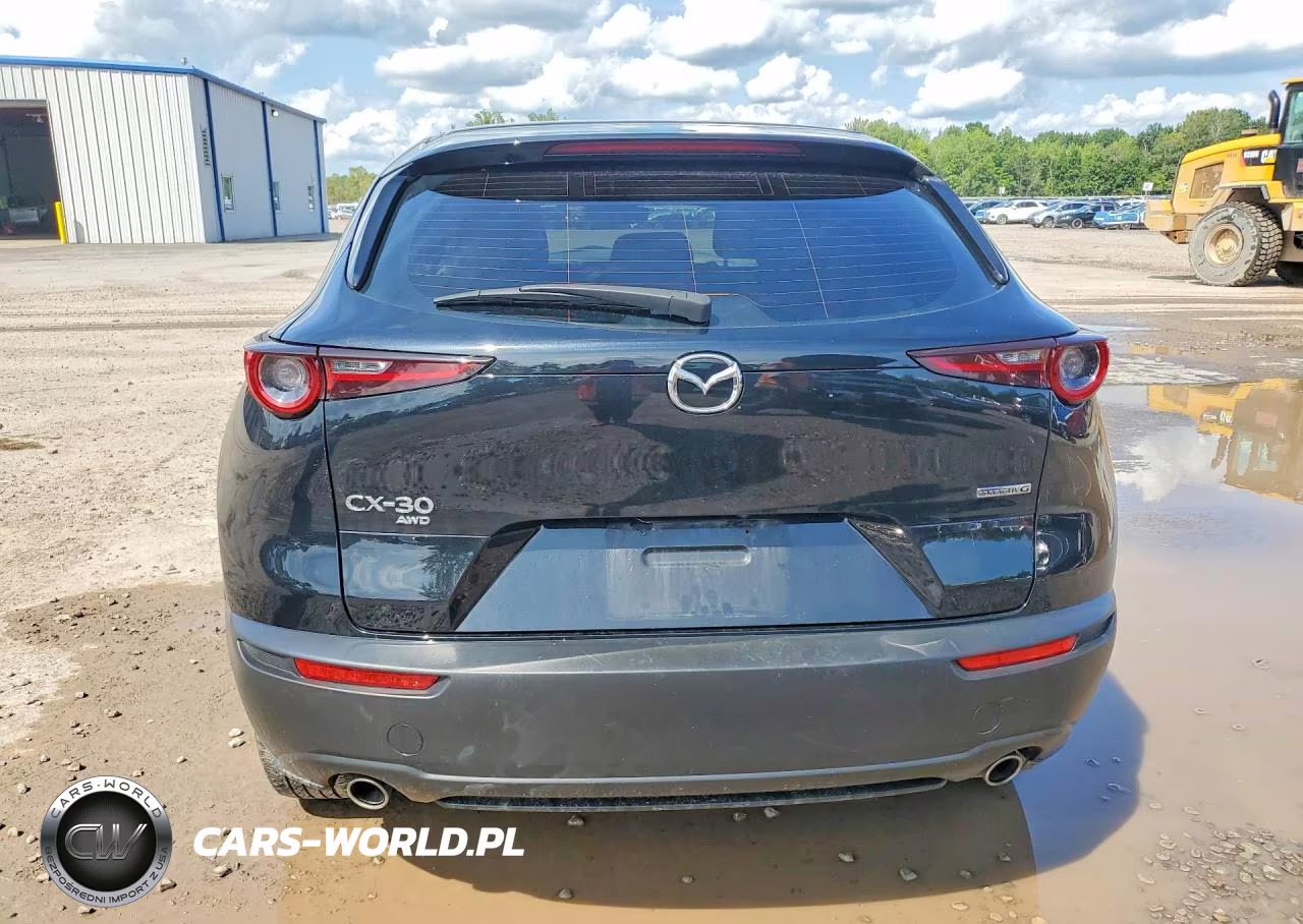 2025 Mazda Cx-30 Cx-30 VIN:3MVDMBAM2SM790970 - 6