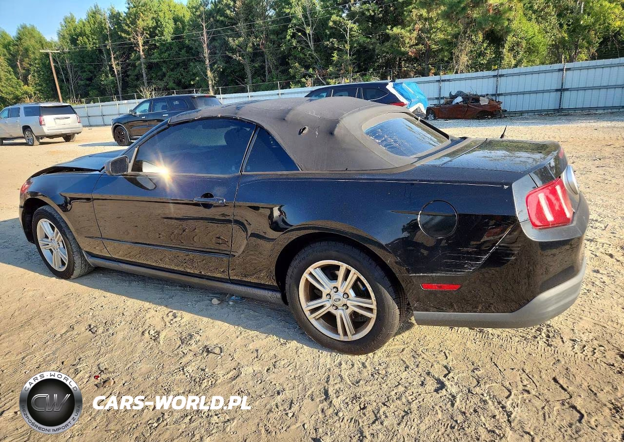2010 Ford Mustang VIN:1ZVBP8EN1A5177942 - 2