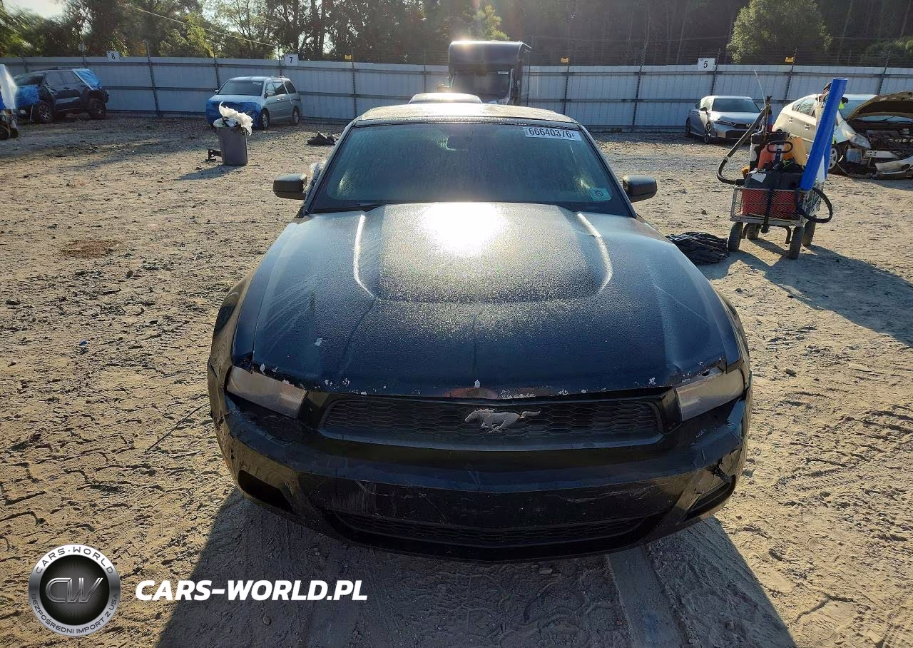 2010 Ford Mustang VIN:1ZVBP8EN1A5177942 - 5