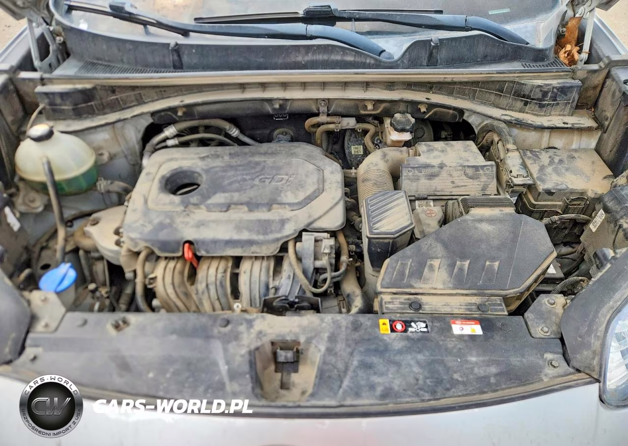 2020 Kia Sportage Lx VIN:KNDPMCAC3L7637117 - 12