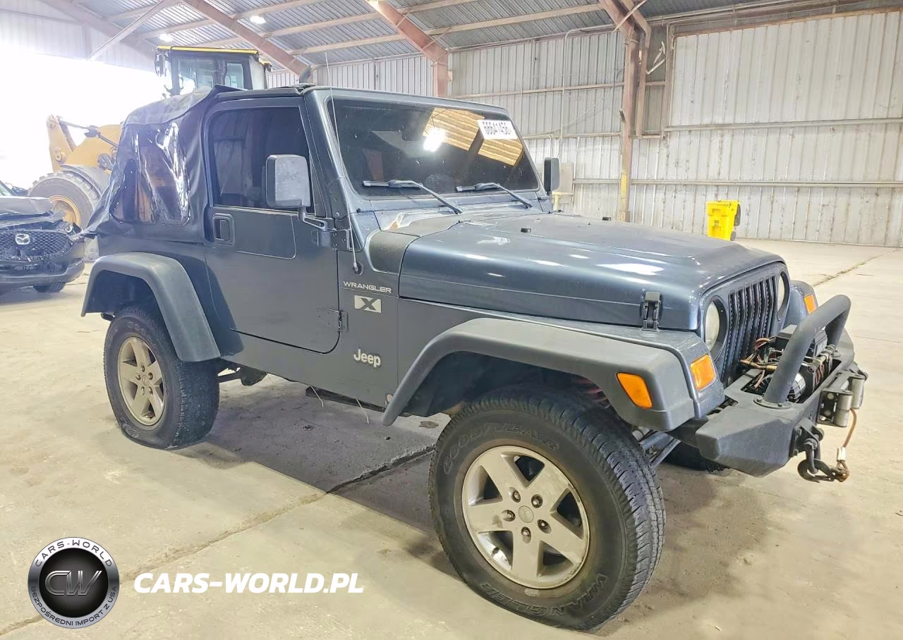2002 Jeep Wrangler - Tj X VIN:1J4FA39S12P731716 - 4
