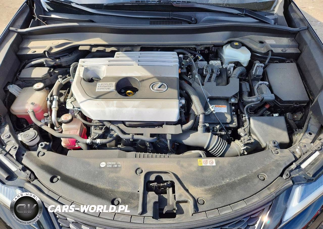 2019 Lexus Ux 250H VIN:JTHU9JBH5K2014028 - 12