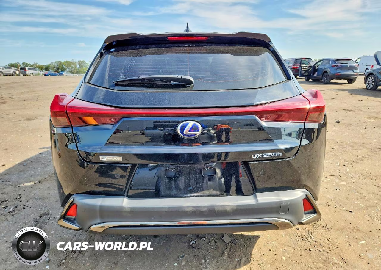 2019 Lexus Ux 250H VIN:JTHU9JBH5K2014028 - 6