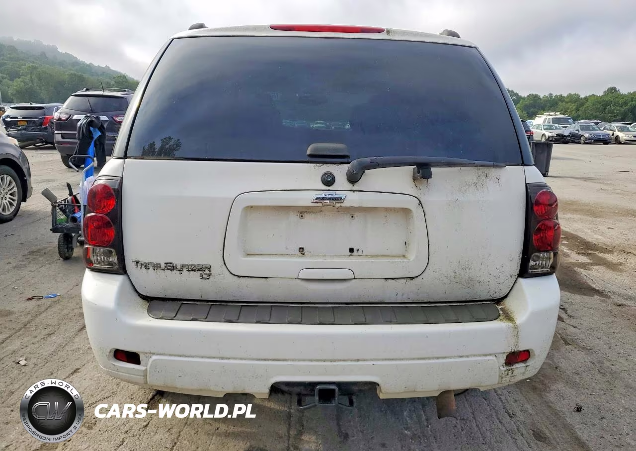 2008 Chevrolet Trailblazer Ls VIN:1GNDT13SX82197360 - 6