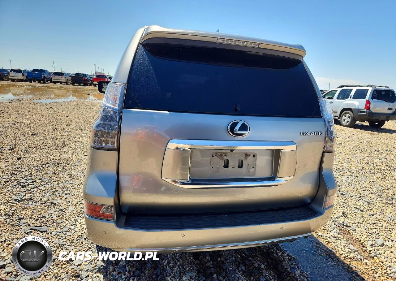 2020 Lexus Gx 460 Premium VIN:JTJAM7BX5L5252567 - 6