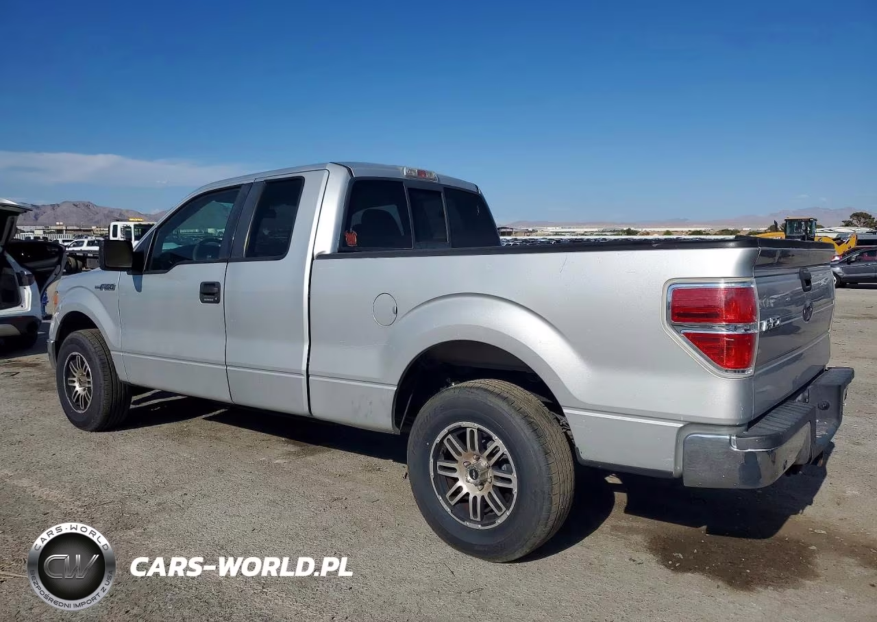 2009 Ford F150 Super Cab VIN:1FTRX12V99FB21024 - 2