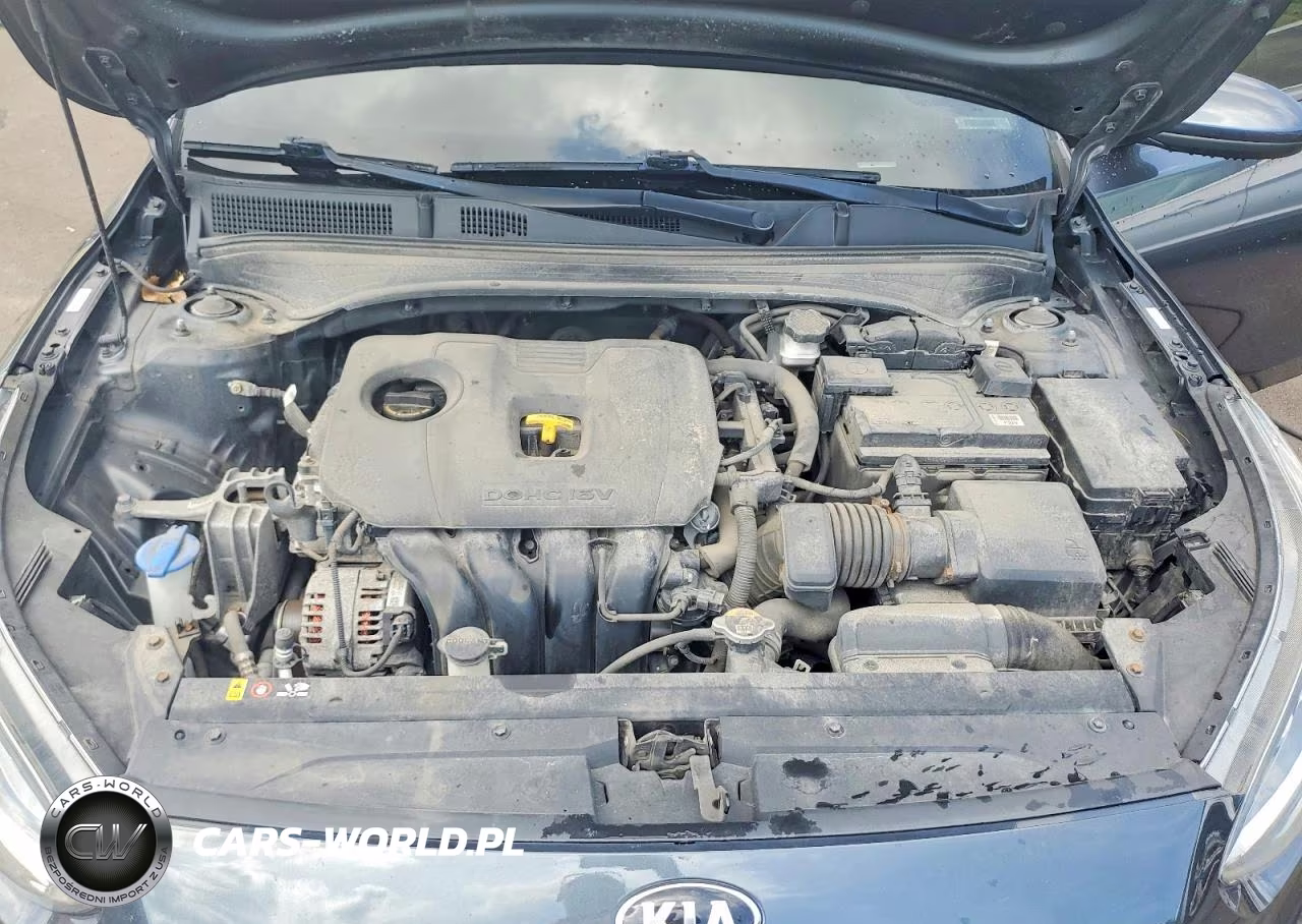 2019 Kia Forte Fe VIN:3KPF24AD1KE106822 - 11