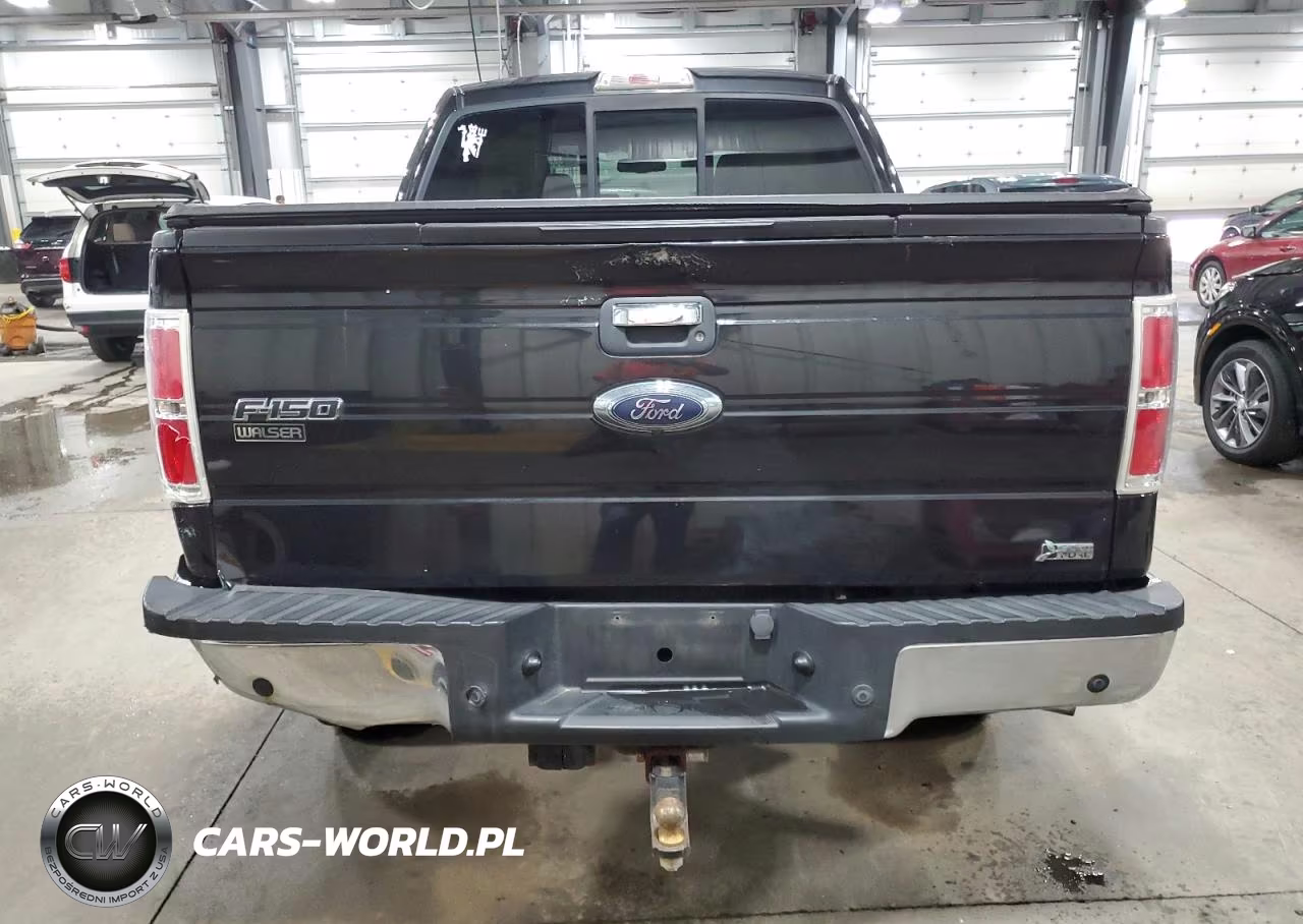 2010 Ford F150 Supercrew VIN:1FTFW1EVXAFA54794 - 6